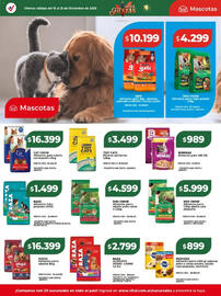 Catálogo Supermayorista Vital semana 51 Página 25