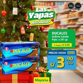 Catálogo Mayorsa Página 12