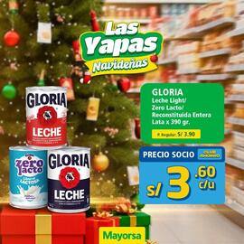 Catálogo Mayorsa Página 6