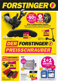Forstinger Flugblatt Seite 1