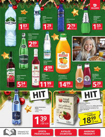 Selgros gazetka Strona 21