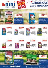 Catálogo Nini Mayorista semana 51 Página 39