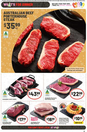 IGA catalogue week 51 Page 12