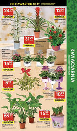 Delikatesy Centrum gazetka tydzień 51 Strona 39