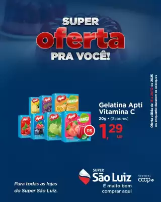 Catálogo Super São Luiz (válido até 28-12)