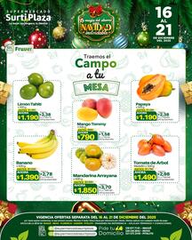 Catálogo Supermercados Surtiplaza semana 51 Página 5