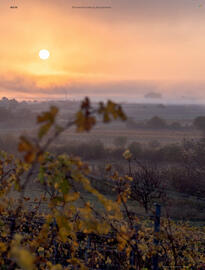 Weinwelt Interspar Flugblatt Seite 22