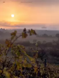 Weinwelt Interspar Flugblatt Seite 22