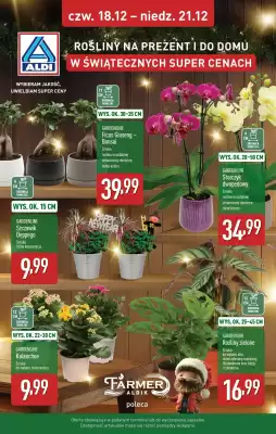 ALDI gazetka (ważność do 21-12)