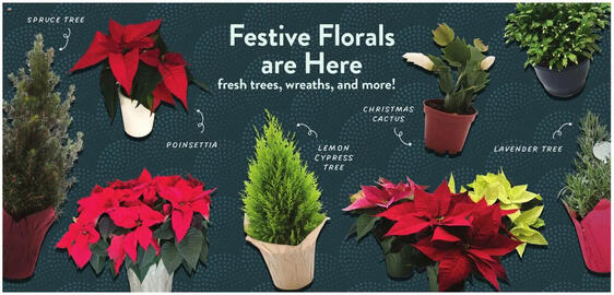 Fresh Thyme weekly ad week 51 Page 2