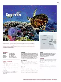 Billa Reisen Flugblatt Seite 135