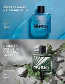Avon leták Strana 110