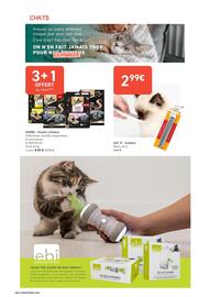 Catalogue Tom&Co page 4