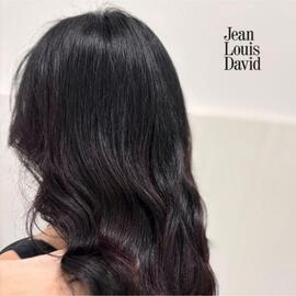 JEAN LOUIS DAVID gazetka Strona 1