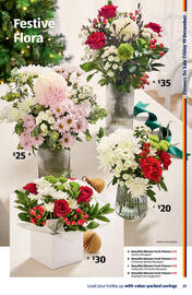 ALDI catalogue | Special Buys Page 37