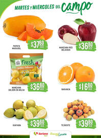 Catálogo Soriana Súper Página 2