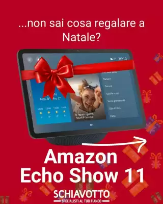 Volantino Schiavotto (valido fino al 4-01)