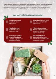 Pepco leták Strana 13