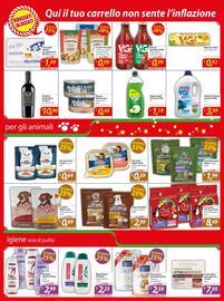 Volantino DiMeglio Pagina 11