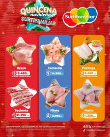 Catálogo Surtifamiliar Página 1