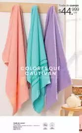 Catálogo Marketing Personal Página 60