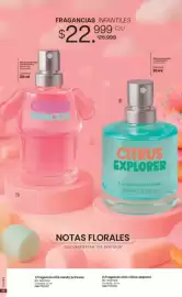 Catálogo Marketing Personal Página 69