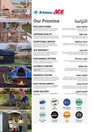 Ace catalogue Page 3