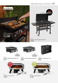 Ace catalogue Page 39