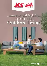 Ace catalogue Page 1