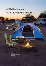 Ace catalogue Page 42