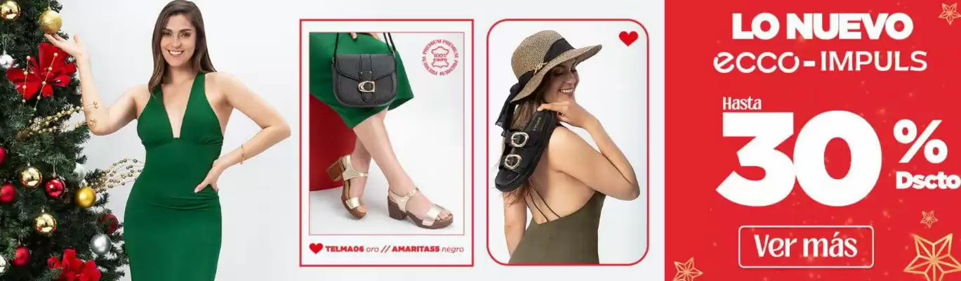 Catálogo Ecco (válido hasta 24-12)