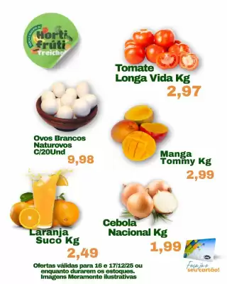 Catálogo Macro Atacado Treichel (válido até 17-12)