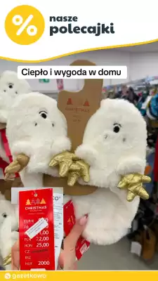 Pepco gazetka (ważność do 23-12)