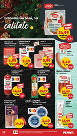 Catalog Penny Pagină 13