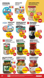 Catalog Penny Pagină 17
