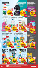 Catalog Penny Pagină 21