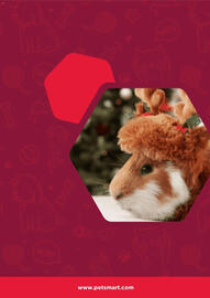 Pet Smart weekly ad Page 7