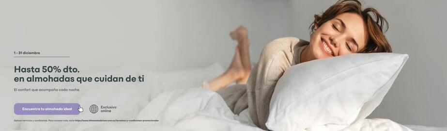 Catálogo Brissa Página 3