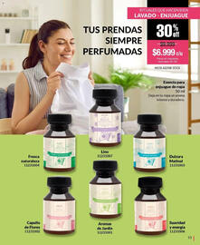 Catálogo Bagués Página 55