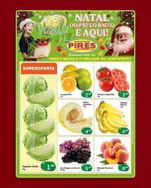 Tabloide Pires Página 3