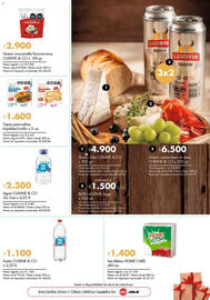 Folleto Disco Página 17