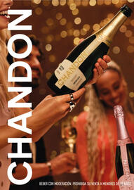 Catálogo Jumbo Página 17