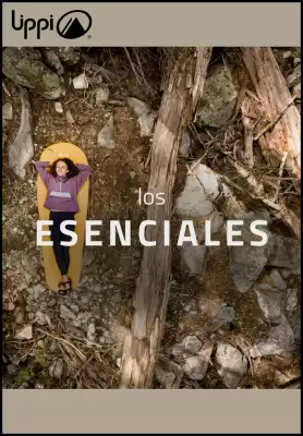 Catálogo Lippi (válido hasta 23-12)