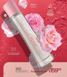 Catálogo Stanhome Página 100