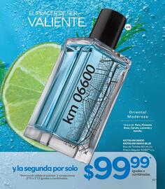 Catálogo Stanhome Página 109