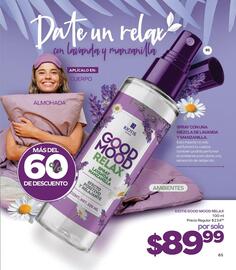 Catálogo Stanhome Página 67