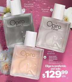 Catálogo Stanhome Página 99