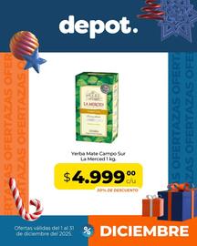 Catálogo Depot Express Página 7