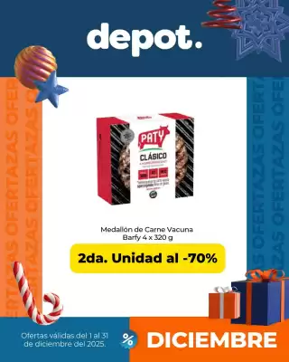 Catálogo Depot Express (válido hasta 31-12)