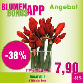 Blumen B&B Flugblatt woche 50 Seite 1